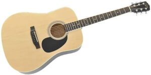 アコギ　ドレッドノート